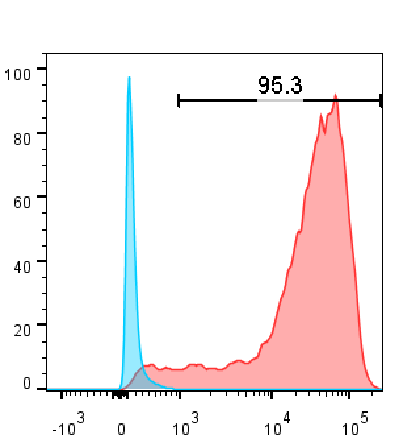 6670fe0299ae7.png