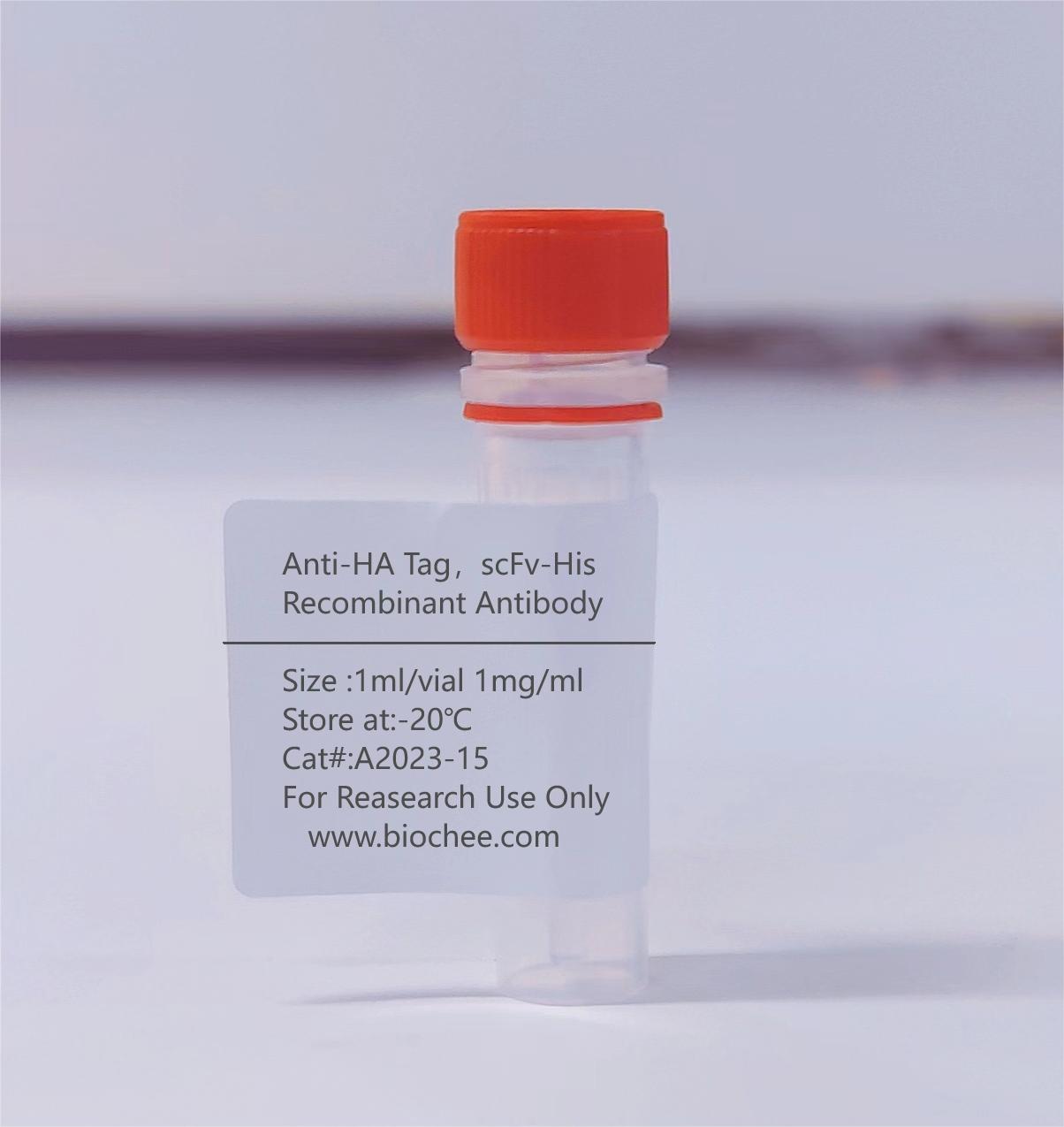 Anti-HA Tag，scFv-His Recombinant Antibody