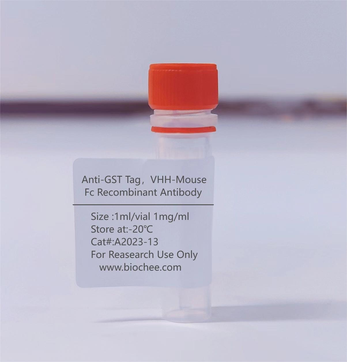 Anti-GST Tag，VHH-Mouse Fc Recombinant Antibody