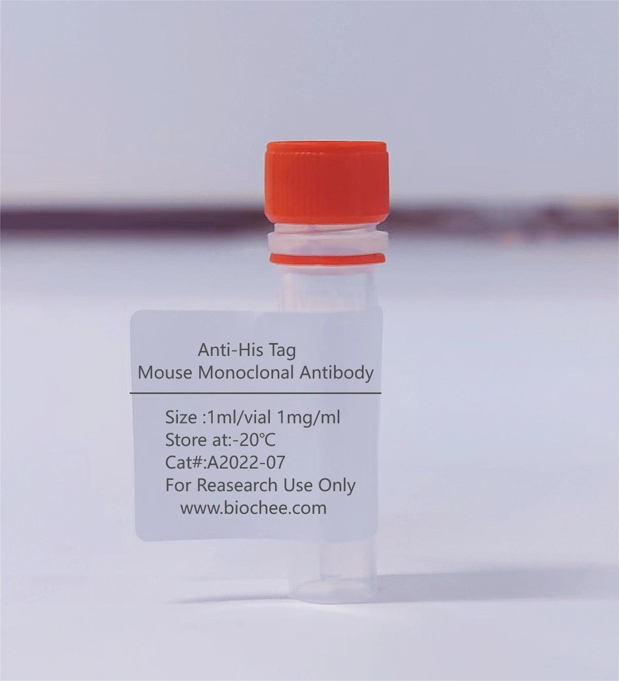 Anti-His Tag Mouse Monoclonal Antibody