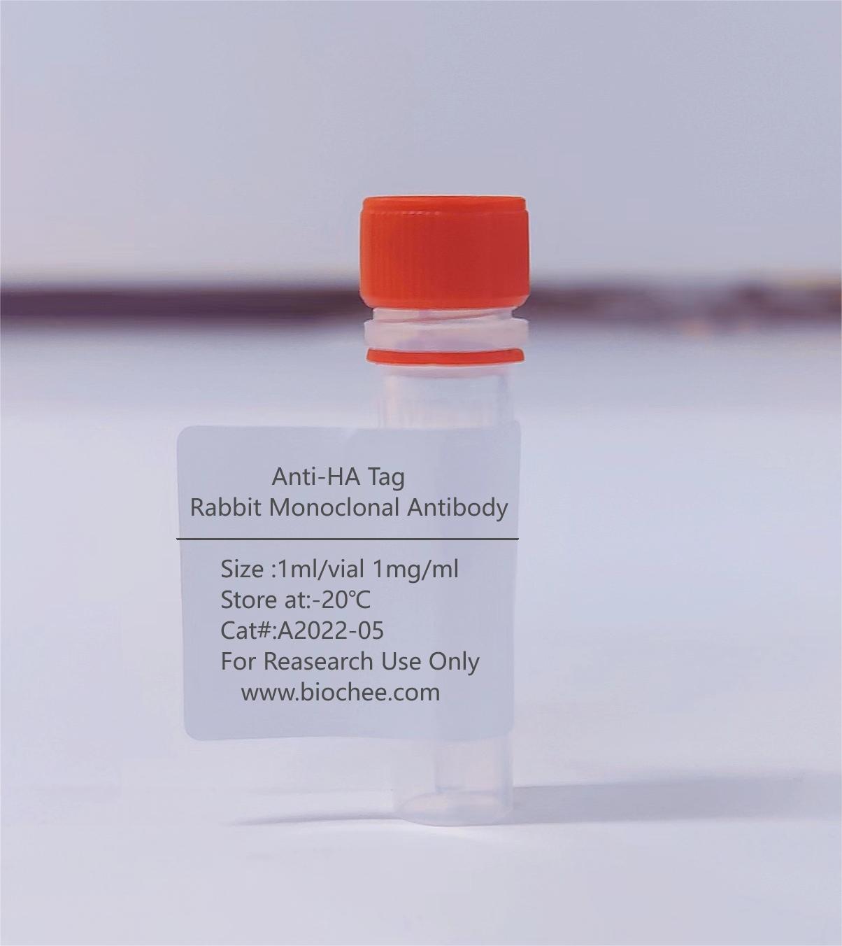Anti-HA Tag Rabbit Monoclonal Antibody