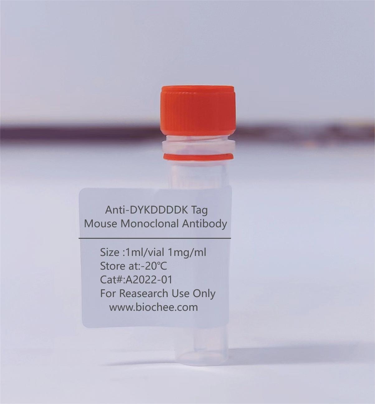 Anti-DYKDDDDK Tag Mouse Monoclonal Antibody