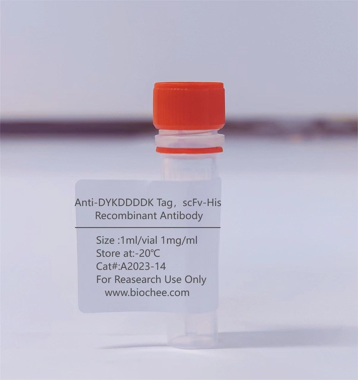 Anti-DYKDDDDK Tag，scFv-His Recombinant Antibody
