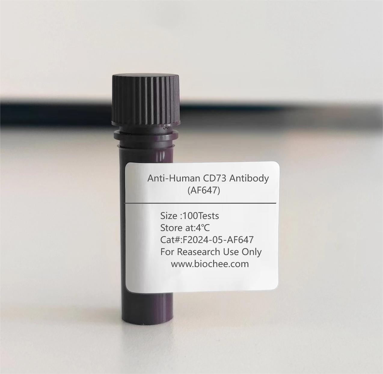 Anti-Human CD73 Antibody (AF647)