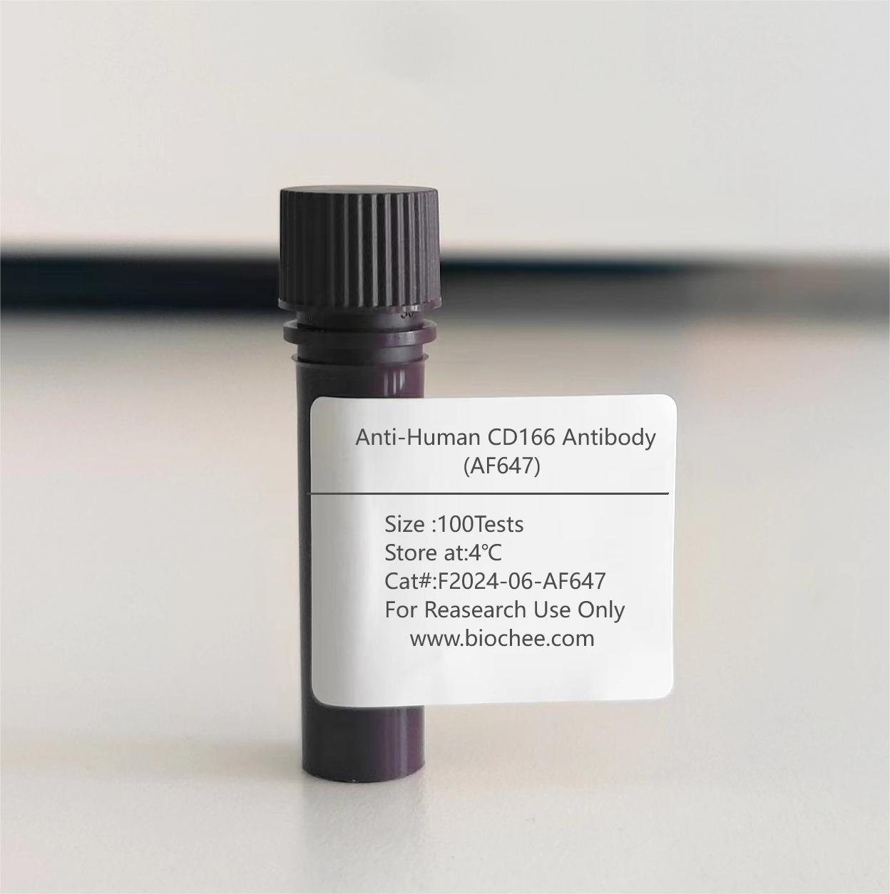 Anti-Human CD166 Antibody (AF647)