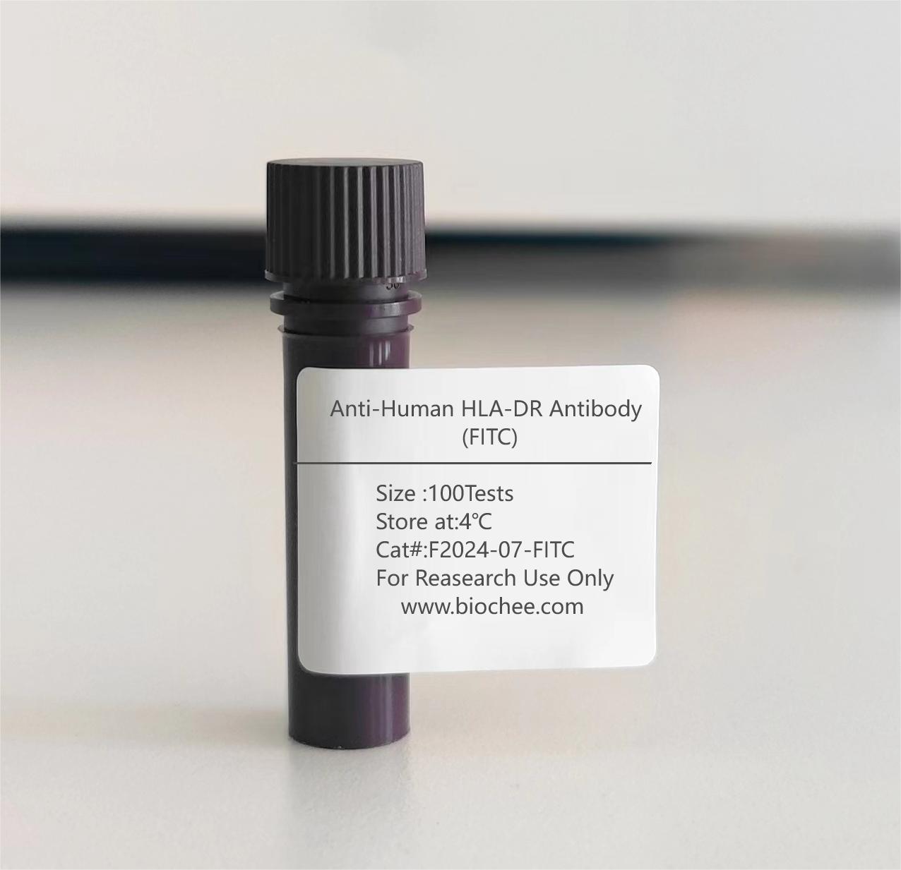 Anti-Human HLA-DR Antibody (FITC)