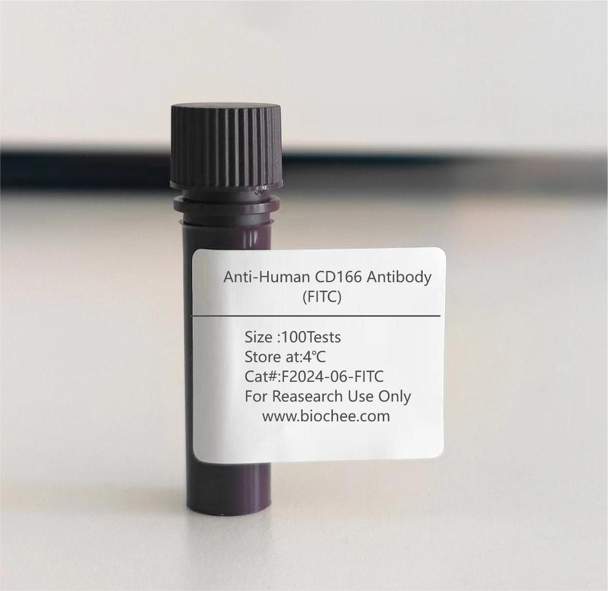 Anti-Human CD166 Antibody (FITC)