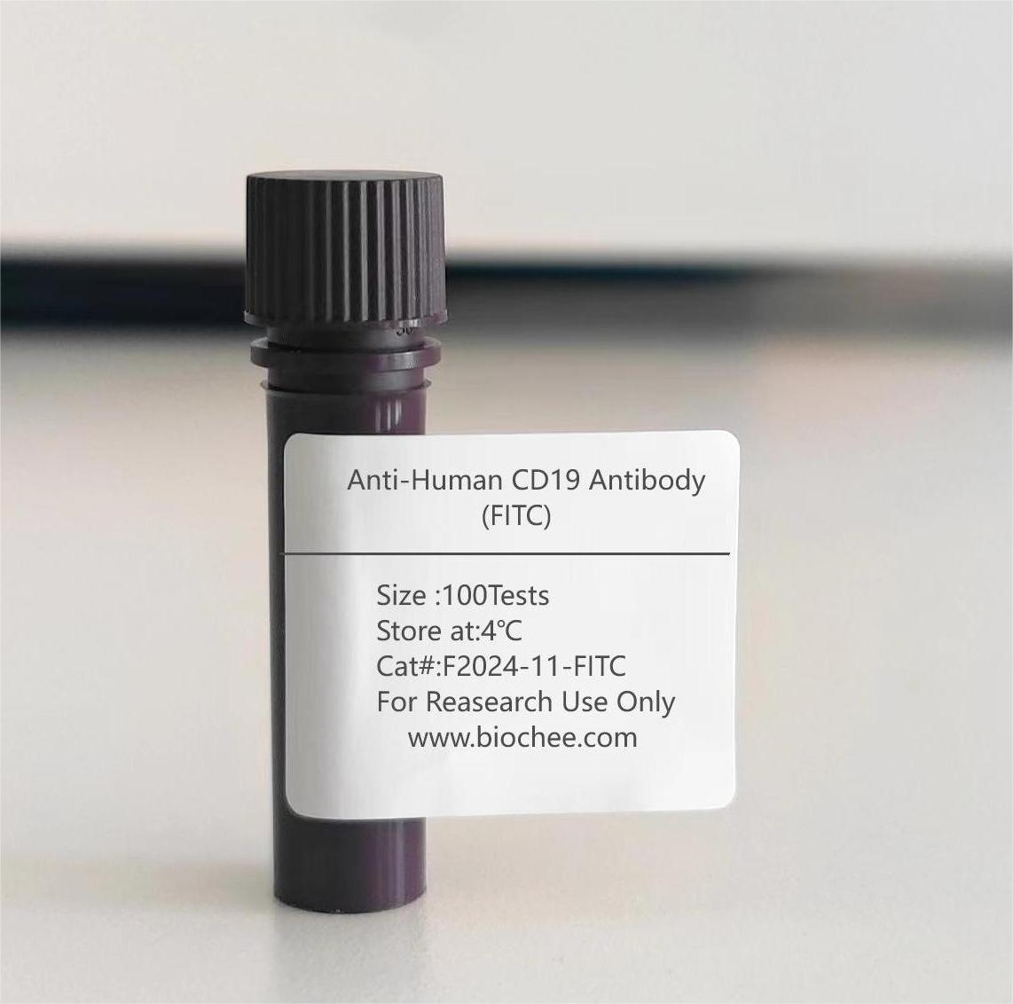 Anti-Human CD19 Antibody (FITC)