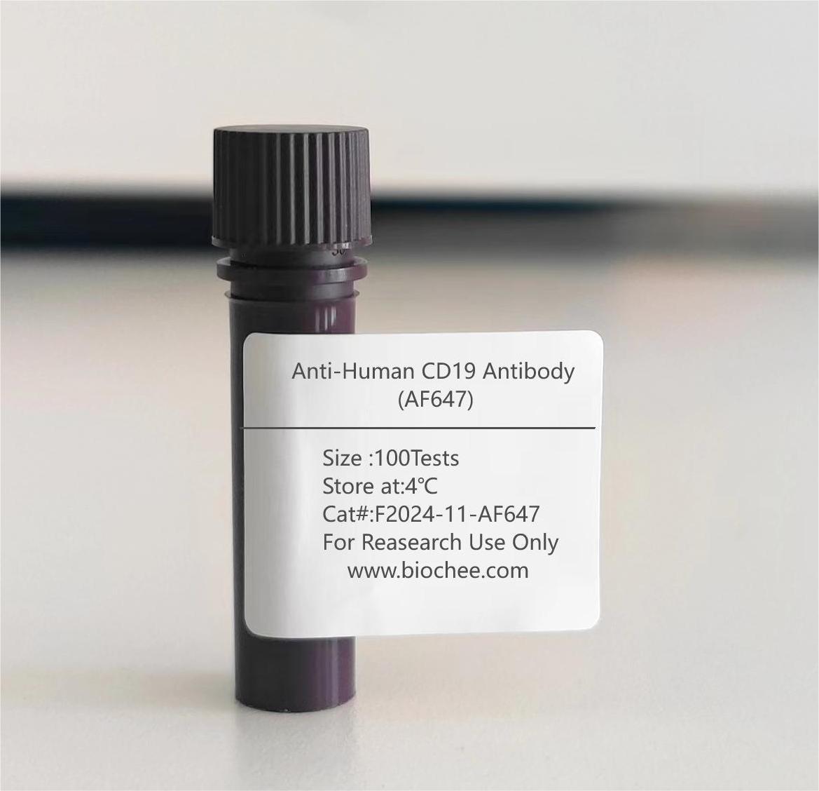 Anti-Human CD19 Antibody (AF647)