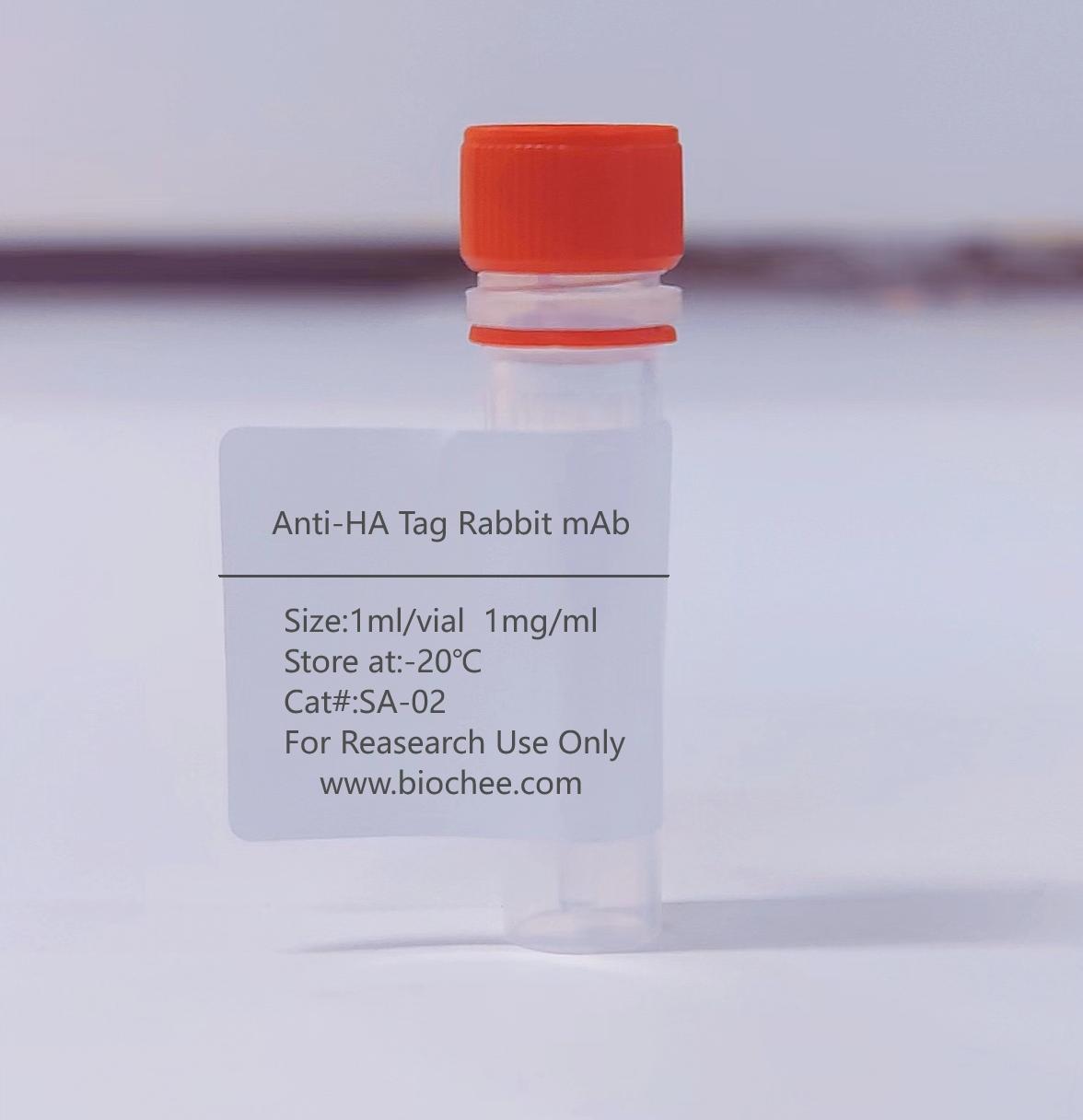 Anti-HA Tag Rabbit mAb