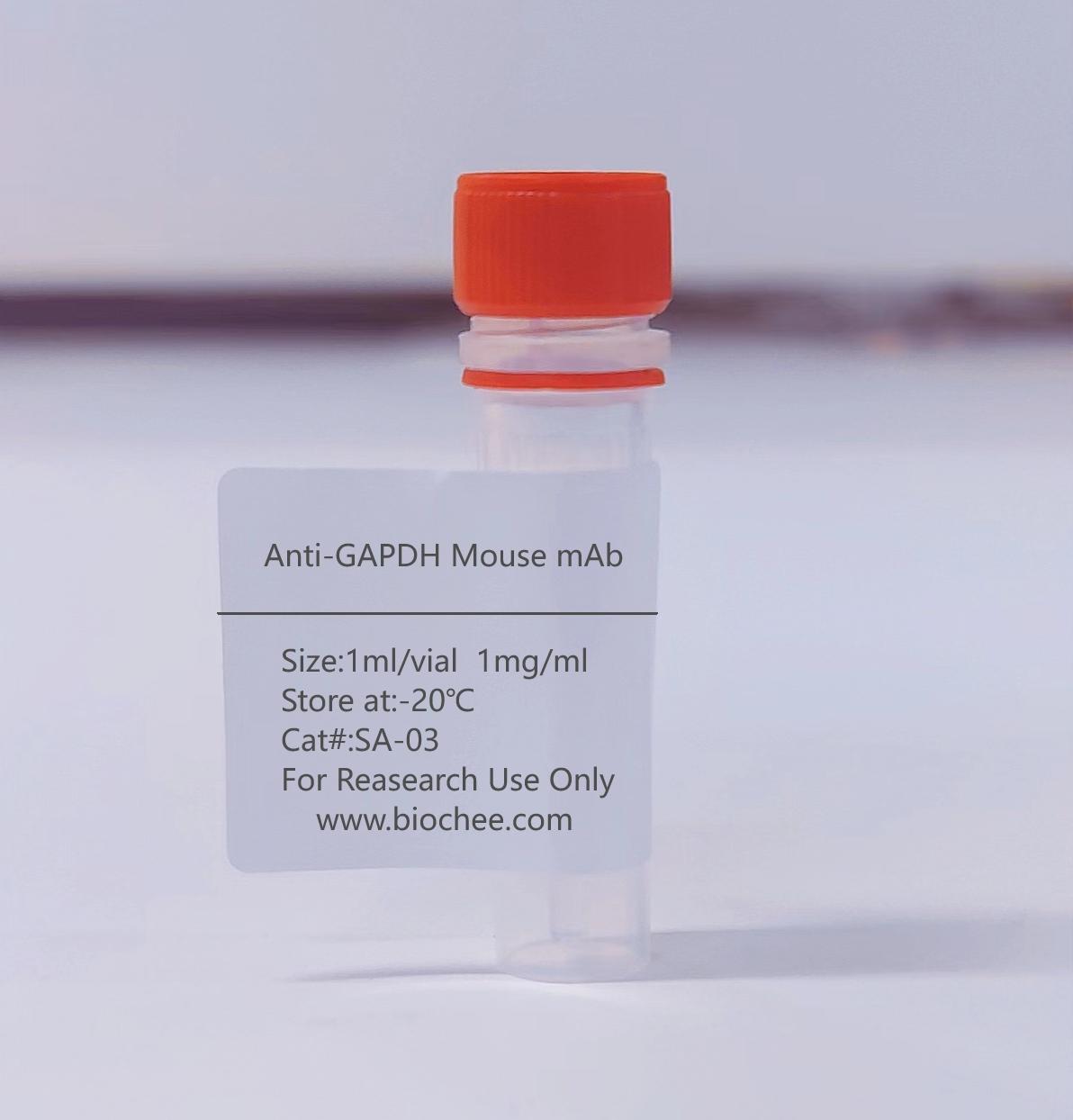 Anti-GAPDH Mouse mAb